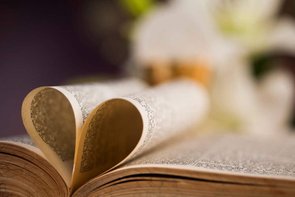 ספר פתוח עם דפים מקופלים פנימה ליצירת צורת לב, המסמל אהבה וחיבור, על רקע מטושטש — תמונה העשויה לעורר מחשבות על גירושין בחברה החרדית ועל מערכות יחסים.